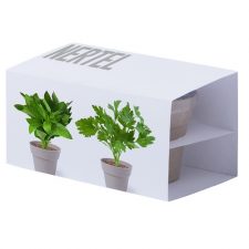 AROMATIKA Piantine Di Prezzemolo E Menta
