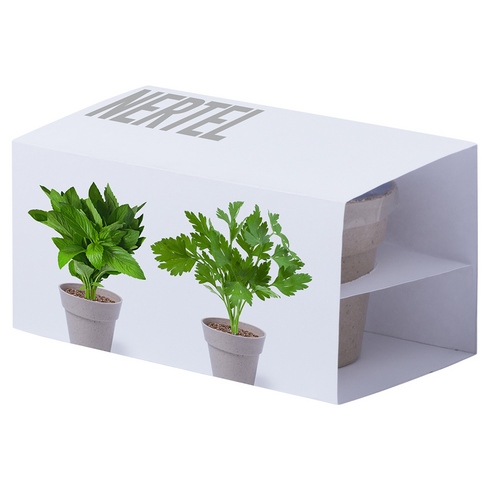 AROMATIKA piantine di prezzemolo e menta