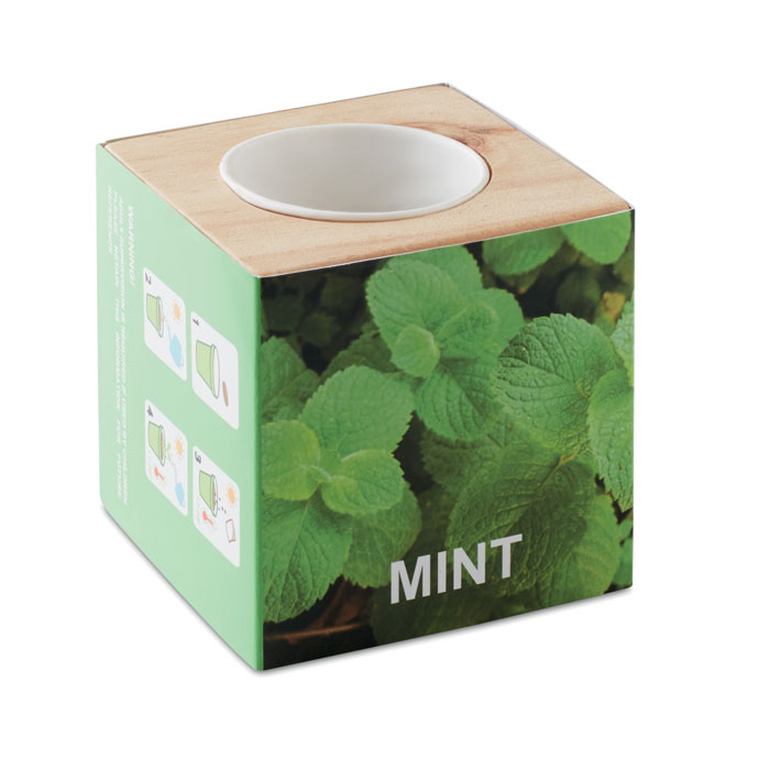 EcoCube, menta in cubo di legno - immagine 2