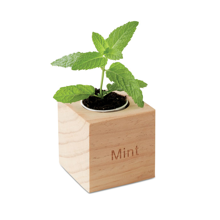 EcoCube, menta in cubo di legno