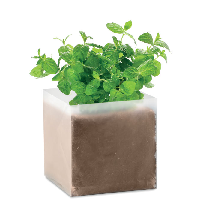 CUBO AROMA bio piantina di menta, basilico o prezzemolo - immagine 2