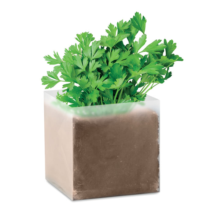 CUBO AROMA bio piantina di menta, basilico o prezzemolo - immagine 3