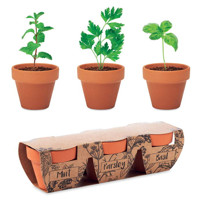 ORTOMIO set di tre vasi in terracotta con basilico/menta/prezzemolo - immagine 2