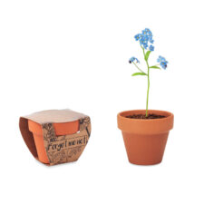 CI VUOLE UN FIORE – VASO IN TERRACOTTA CON SEMI DI NON TI SCORDAR DI ME