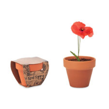 CI VUOLE UN FIORE – Vaso In Terracotta Con Semi Di Papavero
