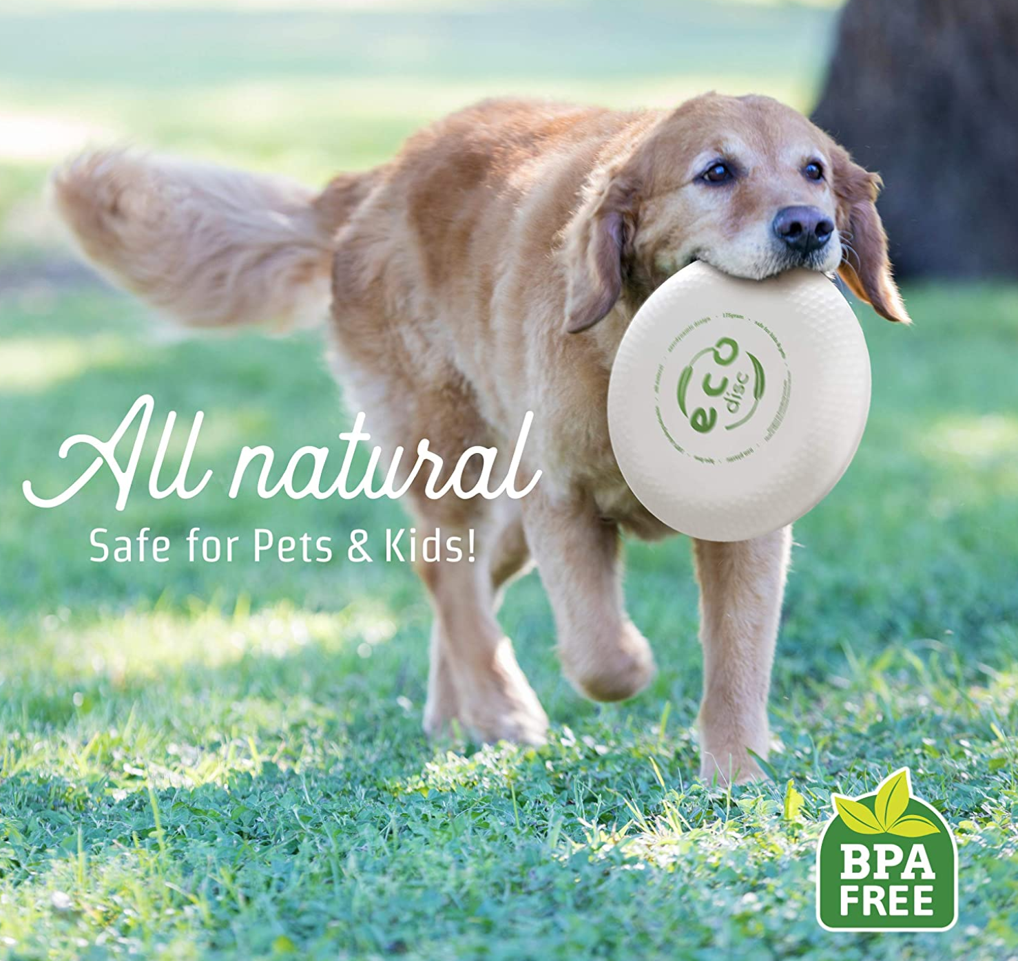 Frisbee in fibra vegetali di bamboo