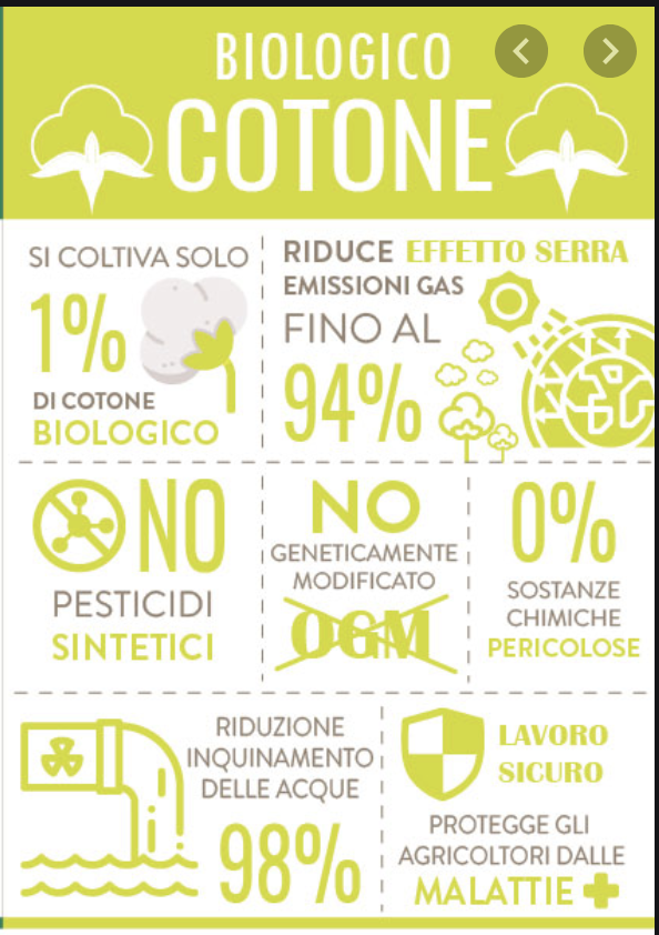T-SHIRT cotone organico - immagine 2