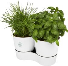 AROMATICA – VASI PER  PIANTE AROMATICHE