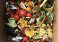 Quaderno In Carta Con Scarti Agroalimentari