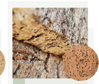 ECO PENNA IN SUGHERO ECOSOSTENIBILE - immagine 4