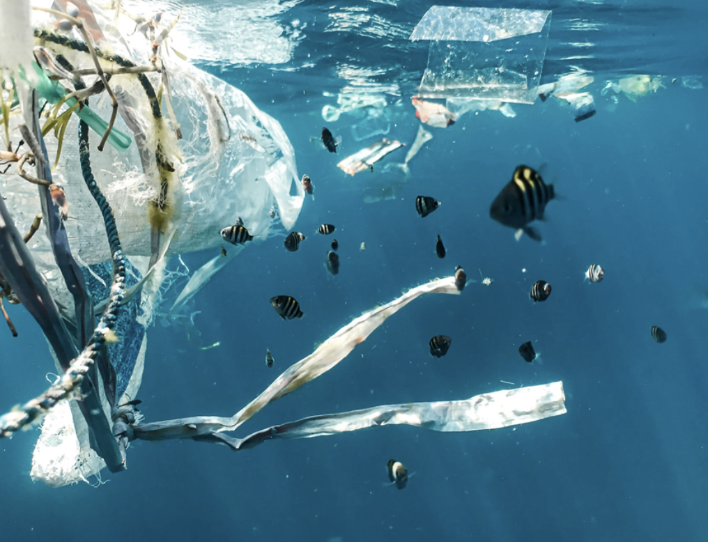 Penna oceano da recupero plastica dal mare - immagine 9