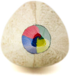 Matita Multicolor