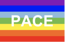 Bandierina In Carta Riciclata Per La PACE