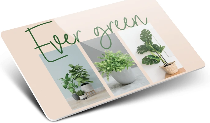TESSERE IN BIODEGRADABILI SENSIBILI ALL'AMBIENTE - immagine 3