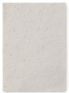 Fogli Di Carta Piantabile