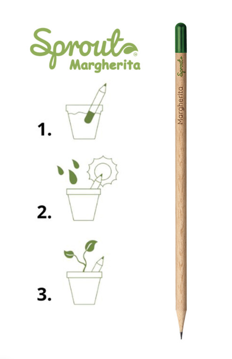 Matite orignal Sprout© possono essere piantate dopo l’uso - immagine 6