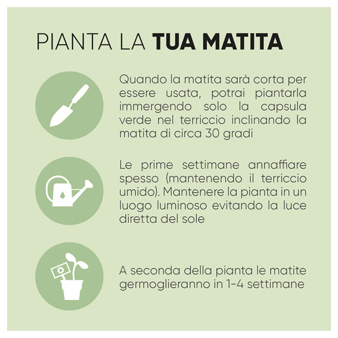 Matite orignal Sprout© possono essere piantate dopo l’uso - immagine 9