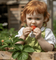 ORTOMIO Kit Per La Coltivazione Di Pomodori O Fragole