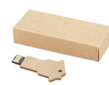USB In Carta A Forma Di Casa
