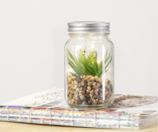 Pianta Decorativa Su Una Base Di Pietre