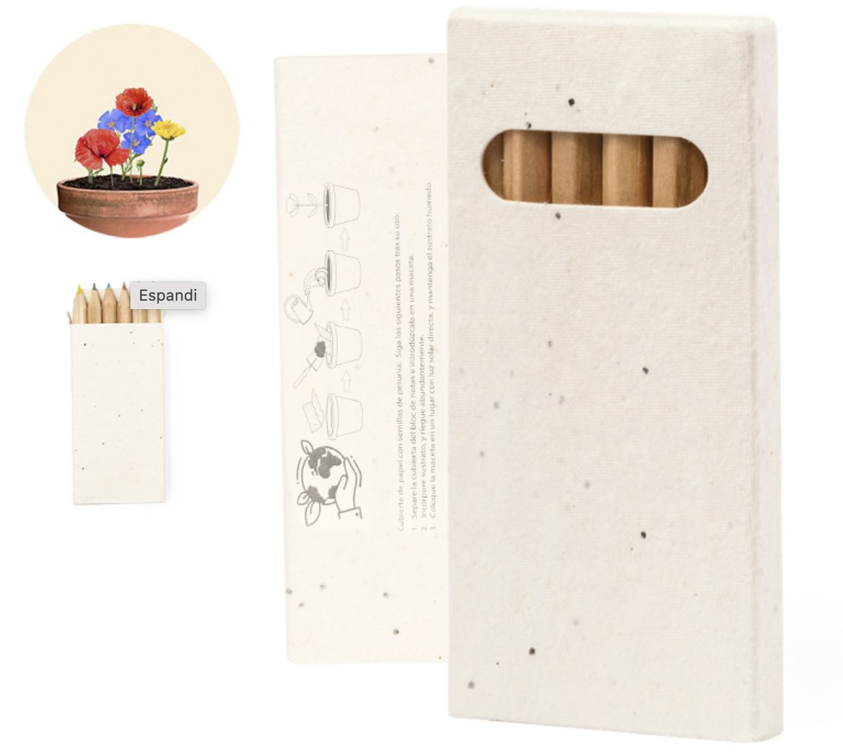 Astuccio in carta semi con pastelli - immagine 2