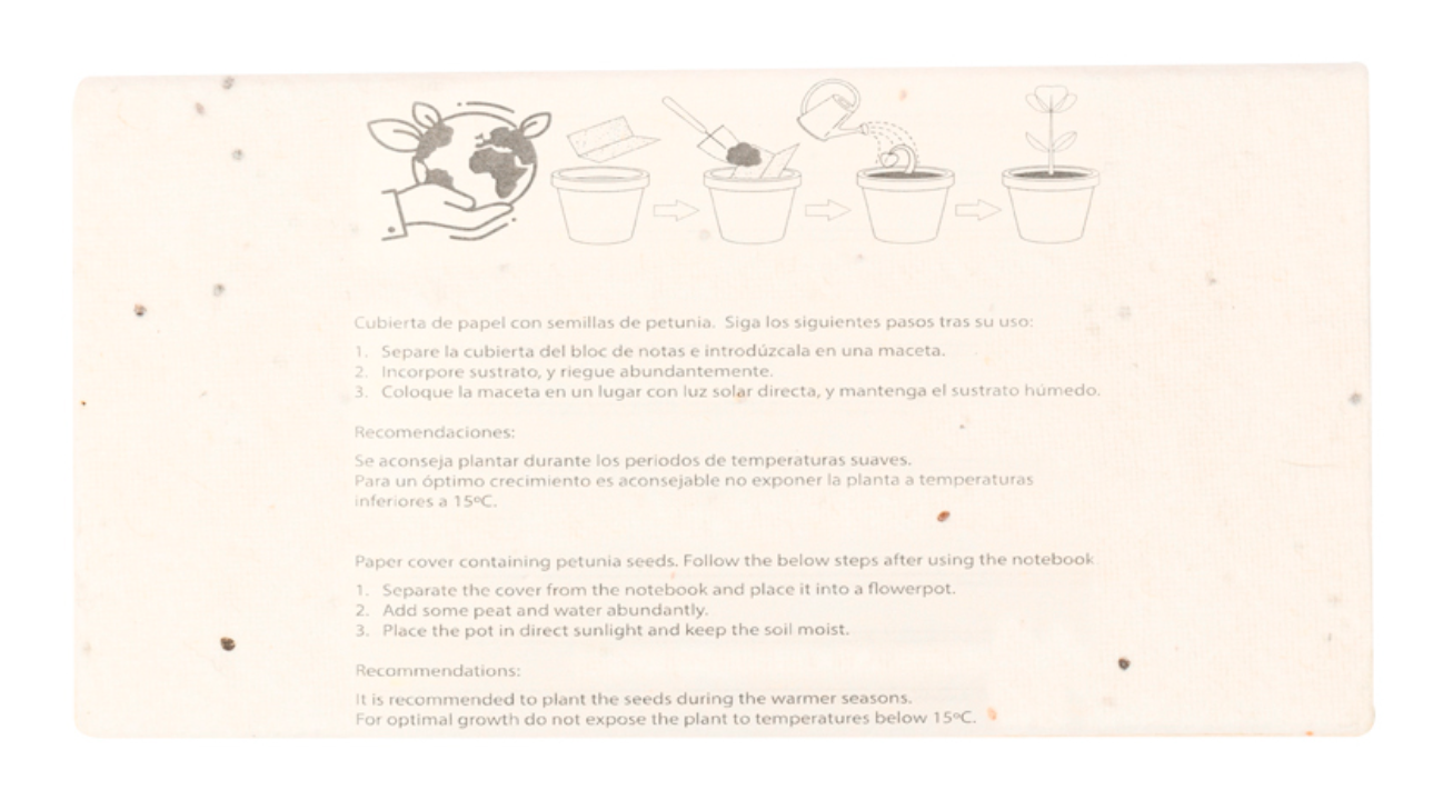 Astuccio in carta semi con pastelli in cera vegetale - immagine 5