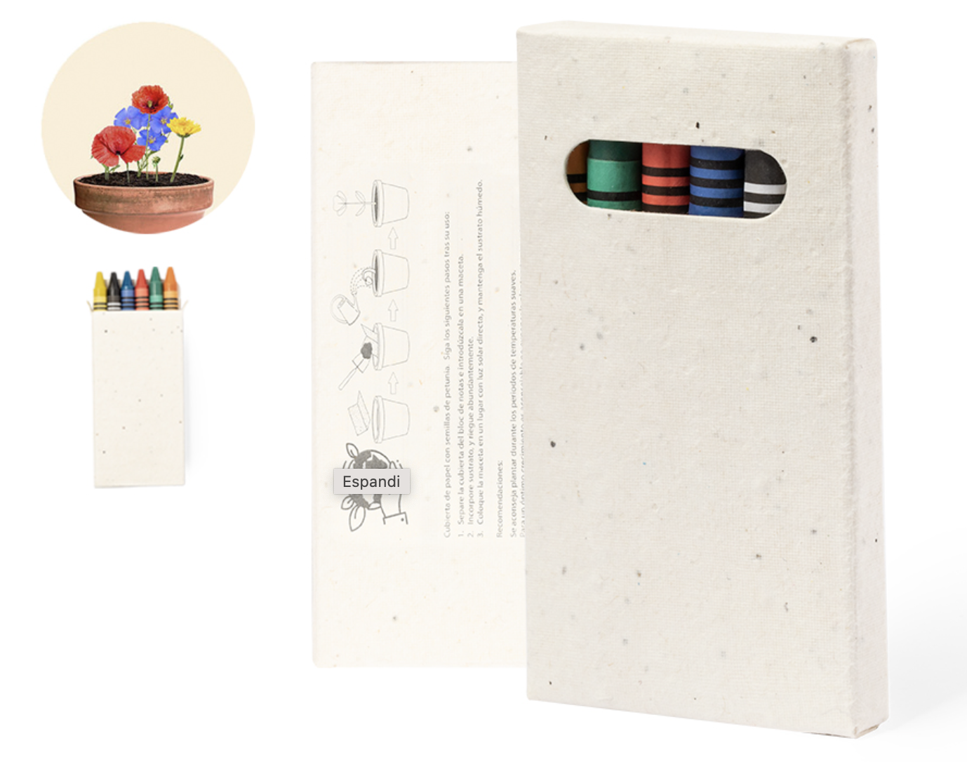 Astuccio in carta semi con pastelli in cera vegetale - immagine 2