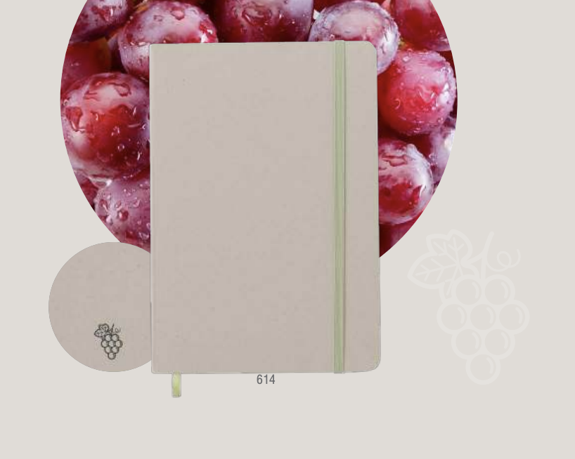 Notes Frutta con scarti agroalimentari - immagine 8