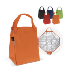 Borsa Frigo Ripiegata E Tappetino Da Picnic