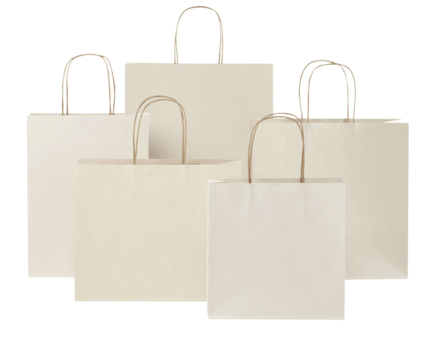 Borse di carta sostenibili da scarti agricoli: la nuova frontiera del packaging biodegradabile - immagine 2
