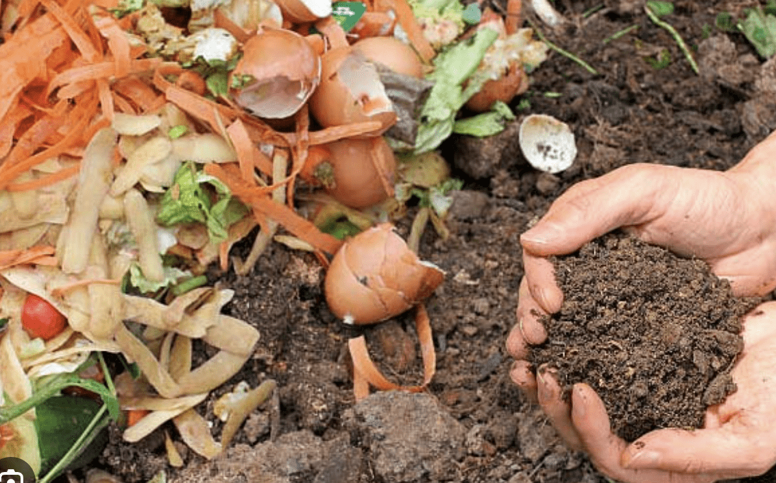 Borse di carta sostenibili da scarti agricoli: la nuova frontiera del packaging biodegradabile - immagine 7