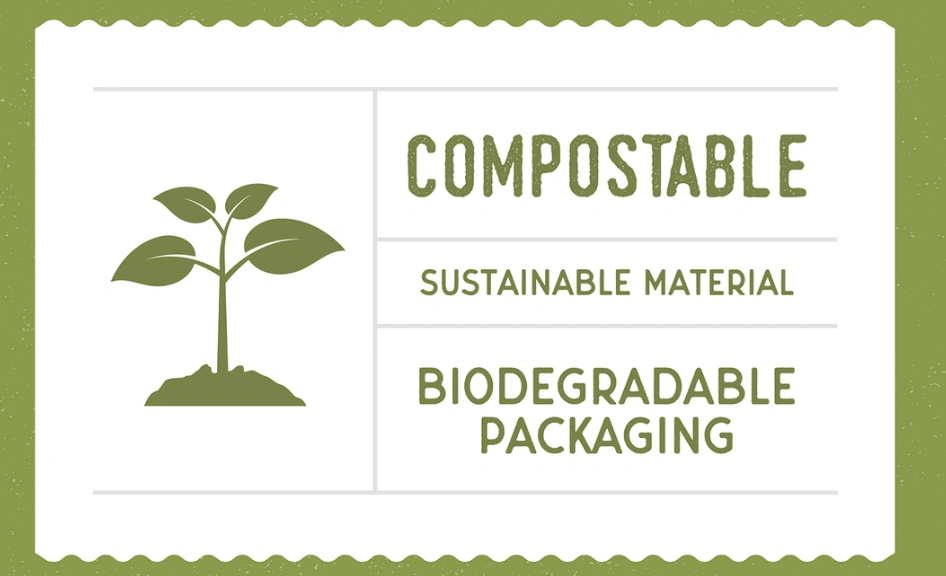Bicchieri Cono in Carta da Canna da Zucchero Eco Sostenibili per Acqua – Biodegradabili e Compostabili - immagine 9