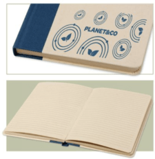 Notes Canna Da Zucchero