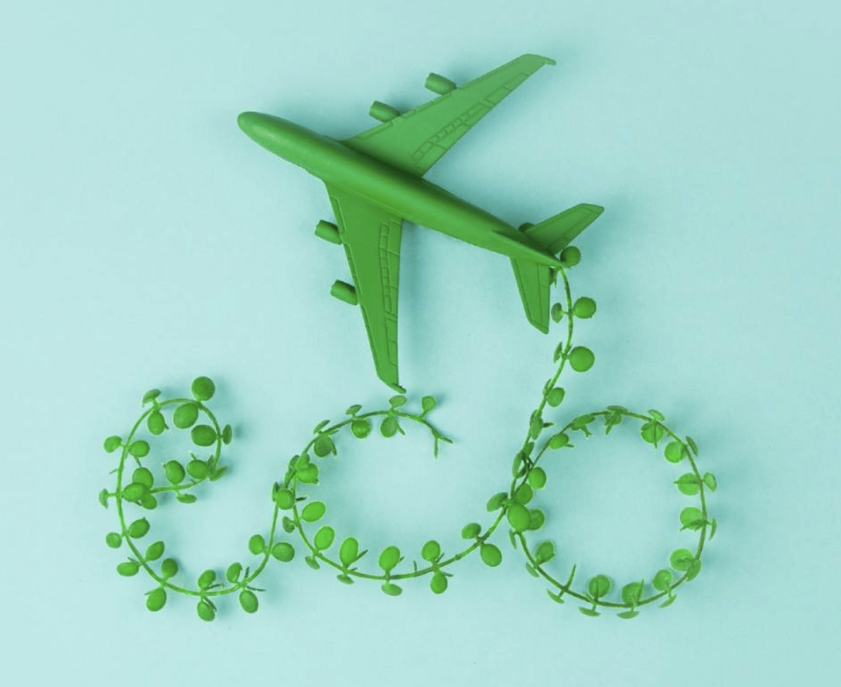 🌿 Tutti Vanno In Vacanza! Ma La Natura… Non Si Ferma Mai. 🌿