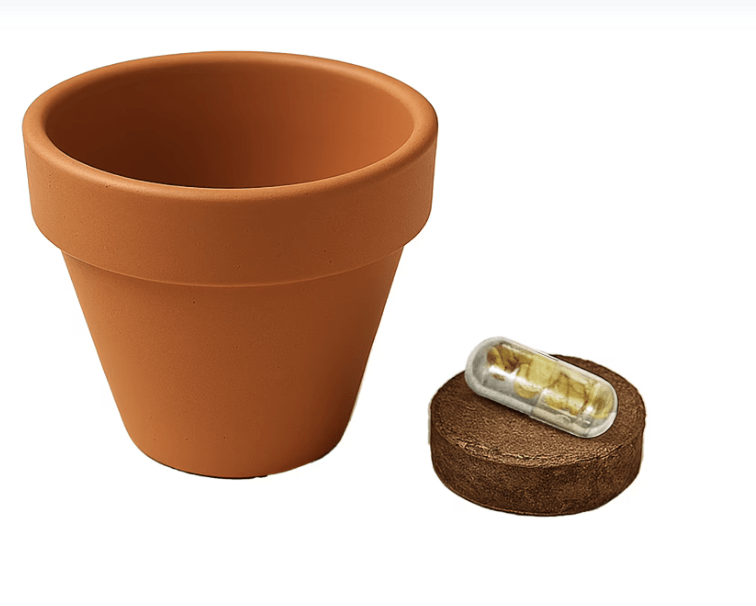 Vasetto in terracotta naturale con semi bio - immagine 8