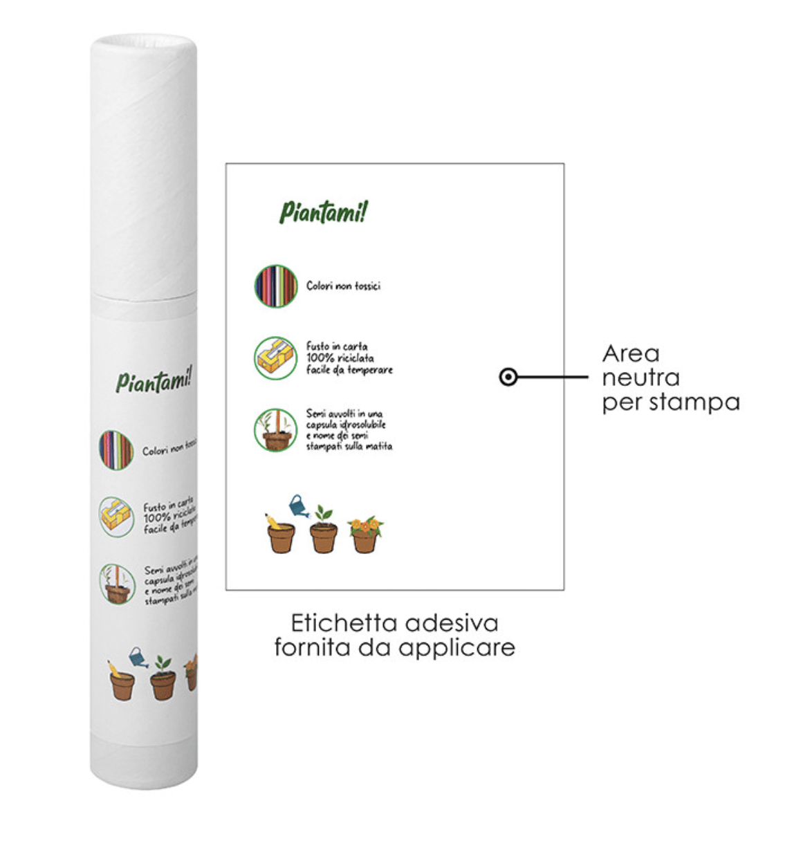 Set 4 Matite Piantabili in Carta con Semi in Astuccio Riciclato - immagine 5