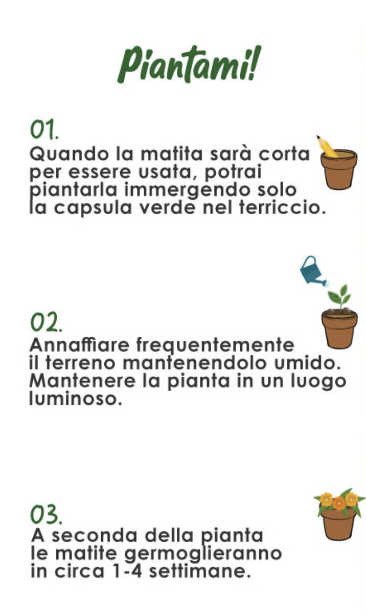 Le matite piantabili con semi fusto in carta riclata | sostenibile e creativa che unisce scrittura e natura. - immagine 9