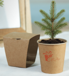 Kit Albero Di Natale Fai Da Te…